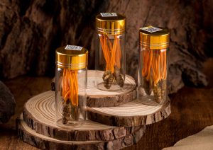 Đông trùng hạ thảo nguyên con