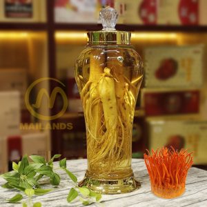 Đông trùng hạ thảo ngâm sâm