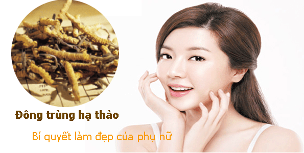 Phụ nữ uống đông trùng hạ thảo có tốt không? 10+ Lợi ích & cách dùng hiệu  quả