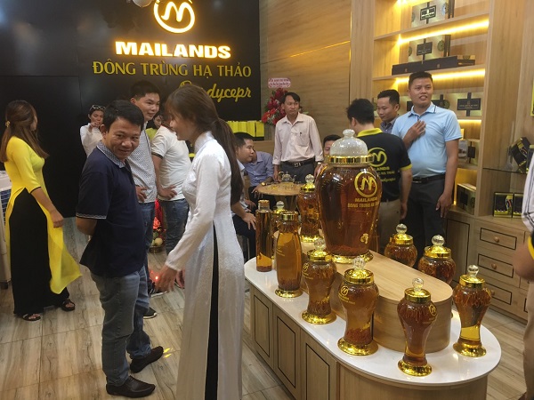 Khai trương showroom Đông trùng hạ thảo Mailands Đồng Nai