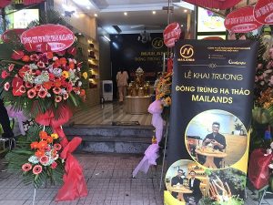 Khai trương showroom Đông trùng hạ thảo Mailands Đồng Nai