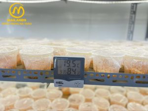 Hướng dẫn chuyển giao công nghệ nuôi trồng đông trùng hạ thảo.