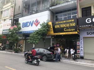 Tưng bừng khai trương showroom Đông trùng hạ thảo Mailands tại thành phố Hạ Long, Quảng Ninh