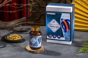 Hộp viên đông trùng hạ thảo Cordyceps xương khớp Mailands