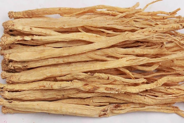 Đảng sâm - thành phần trong nước đông trùng hạ thảo cordyceps 24h