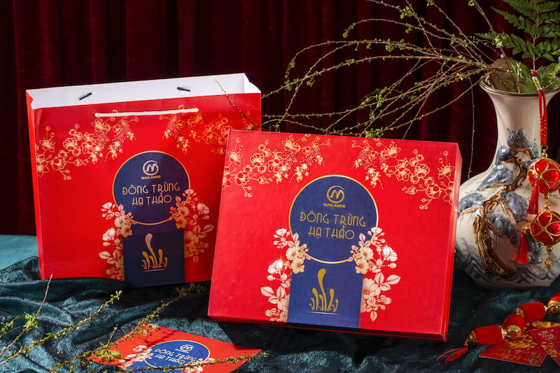 Set quà đông trùng hạ thảo