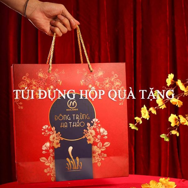 Túi đựng quà tặng của set quà tết đông trùng hạ thảo Phú Quý - An Lành