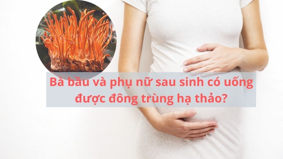 Bà bầu và phụ nữ sau sinh có uống được đông trùng hạ thảo