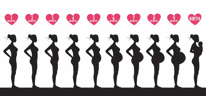 Các giai đoạn mang thai của phụ nữ