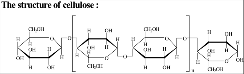 Cấu trúc hóa học của cellulose