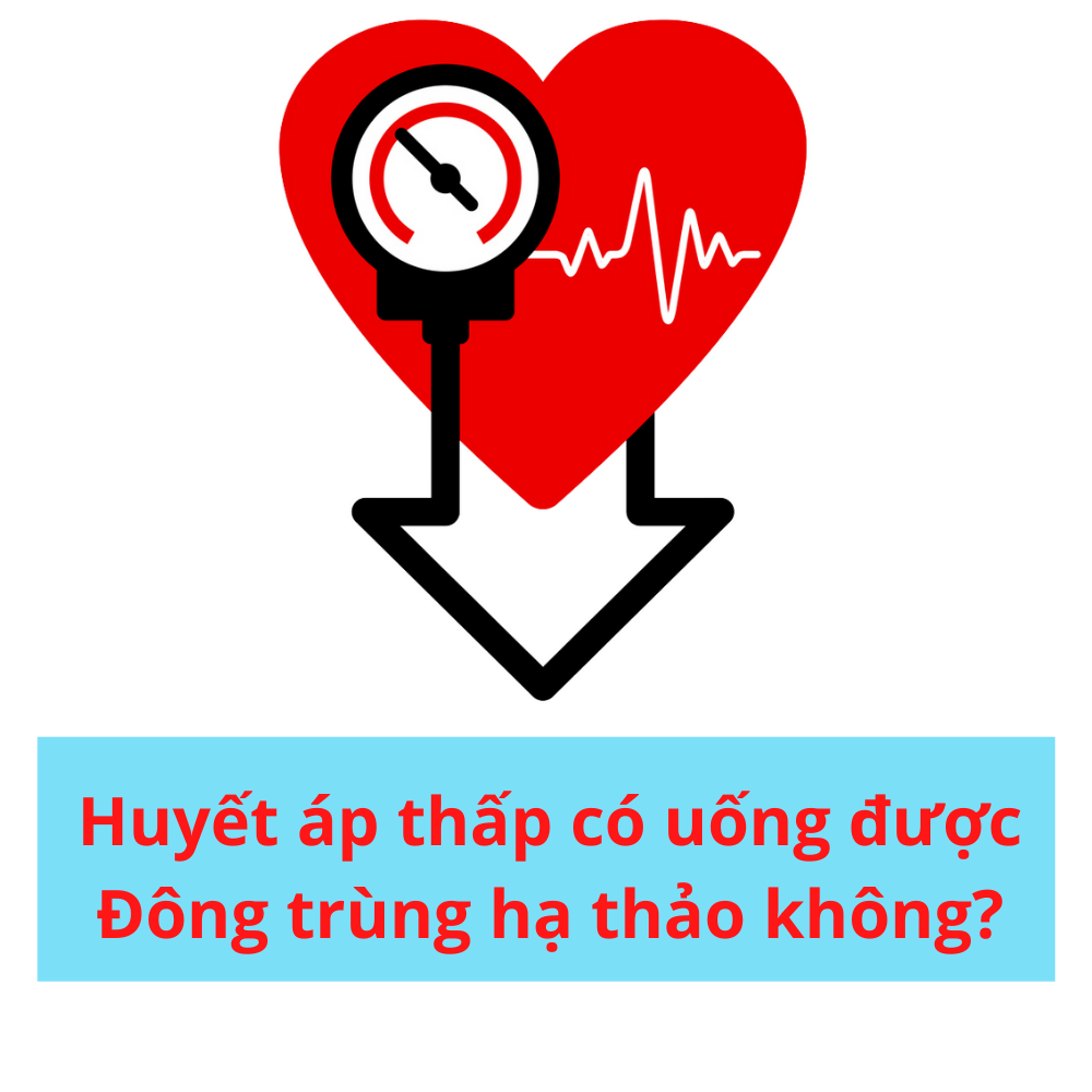 Giải đáp thắc mắc về đông trùng hạ thảo huyết áp thấp là gì và công dụng của nó