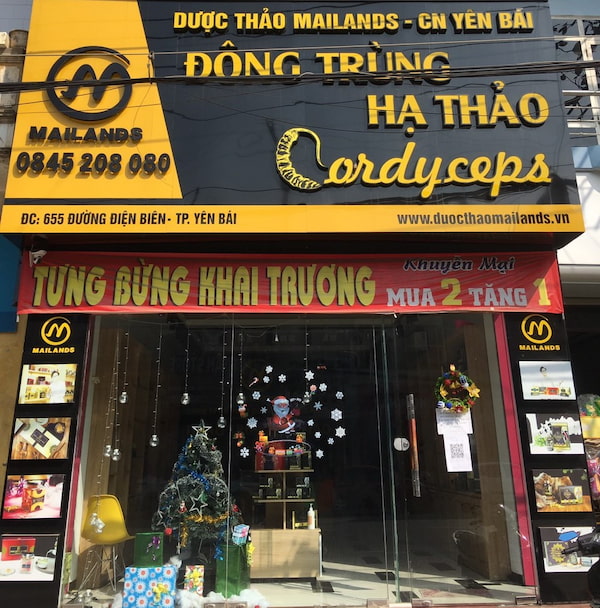 Khai trương cửa hàng Đông trùng hạ thảo tại Yên Bái