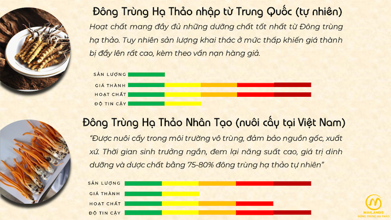 ĐTHT tự nhiên vs Nhân tạo