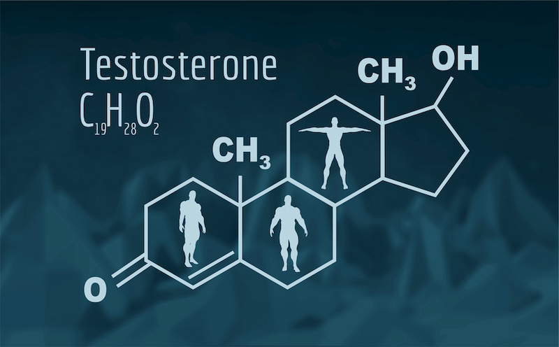 Cấu trúc hóa học của Testosterone