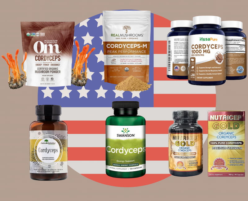 Các sản phẩm đông trùng hạ thảo của Mỹ