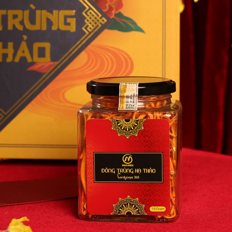 Đông trùng hạ thảo khô cordyceps 365