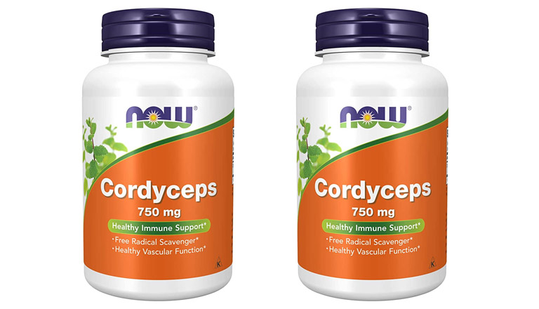 Đông trùng hạ thảo của Mỹ Now