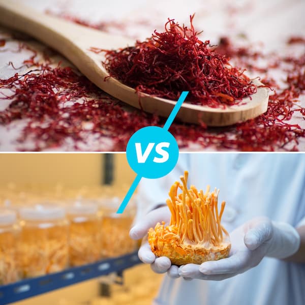 Saffron và Đông trùng hạ thảo loại nào tốt hơn