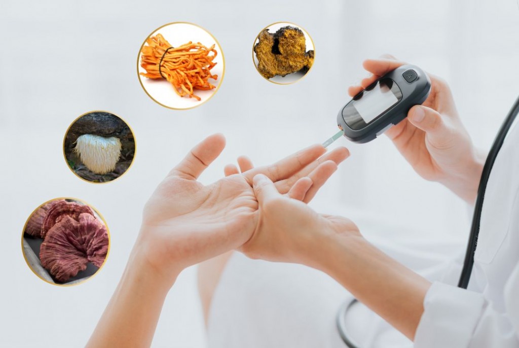 6 loại nấm tốt cho người tiểu đường không nên bỏ qua