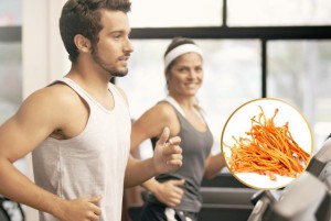 tác dụng của đông trùng hạ thảo đối với sinh lý nam giới