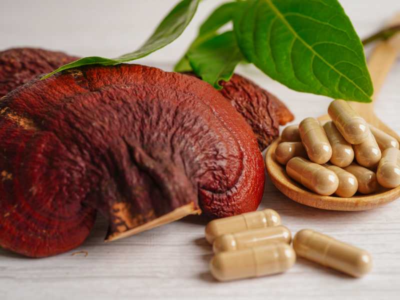 Giải mã 16 câu hỏi về nấm linh chi