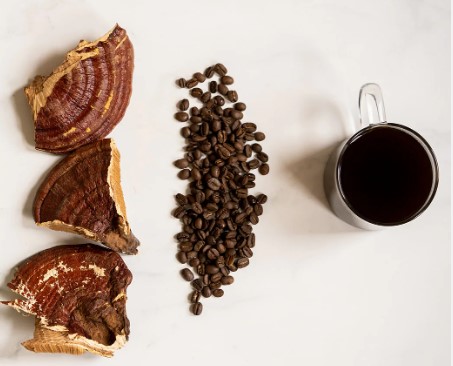 cà phê nấm linh chi - hướng dẫn cách pha