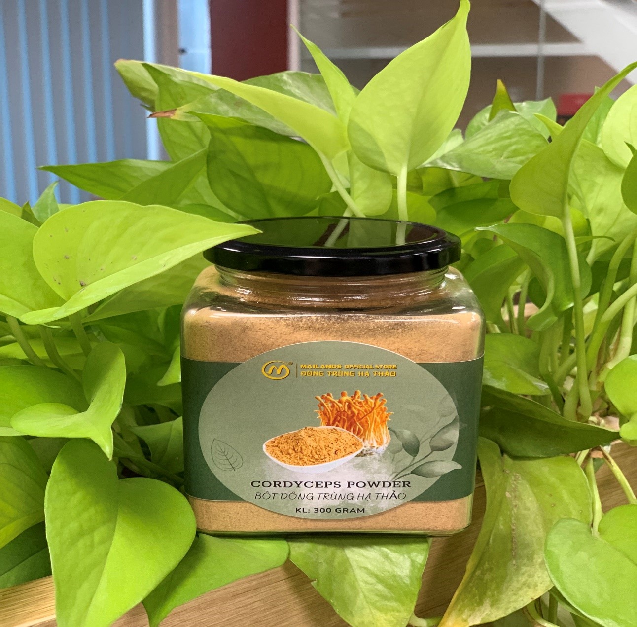 Bột đông trùng hạ thảo