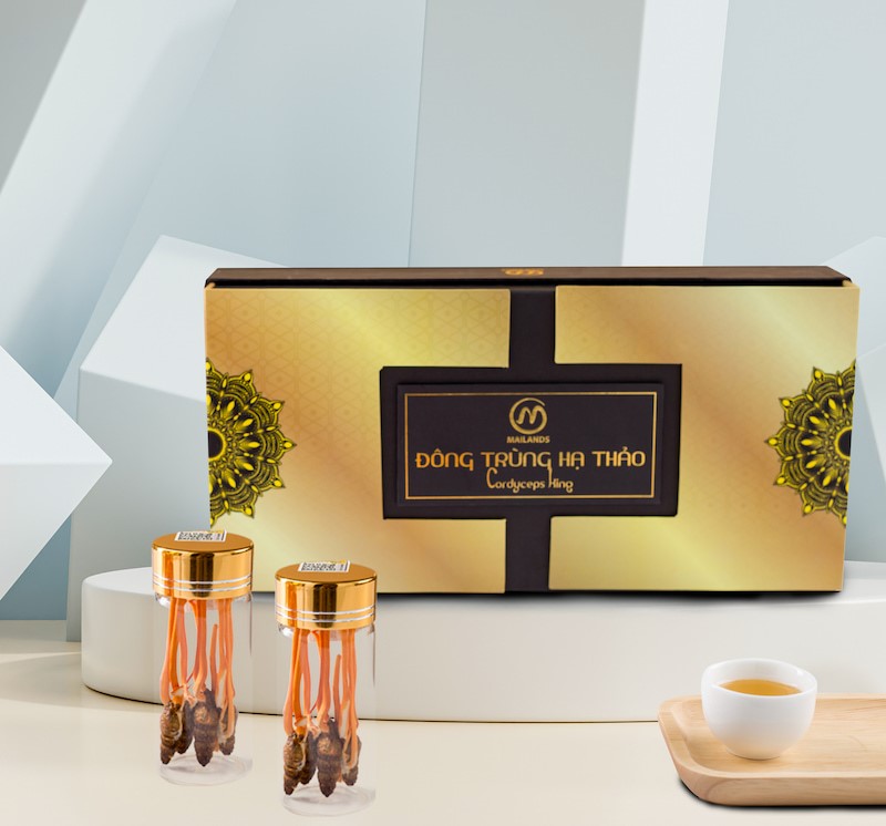 Đông trùng hạ thảo nguyên con nhộng tằm Dược Thảo Mailands