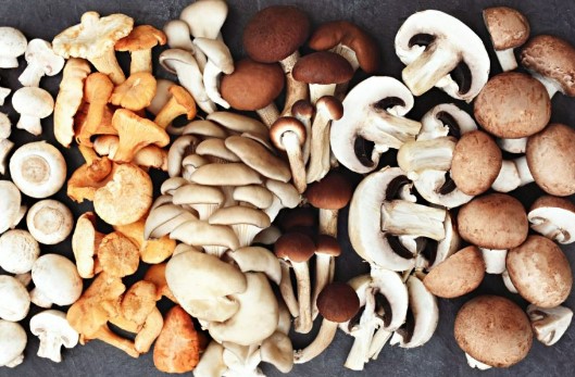 Nấm - thực phẩm thay thế thịt tuyệt vời từ tự nhiên