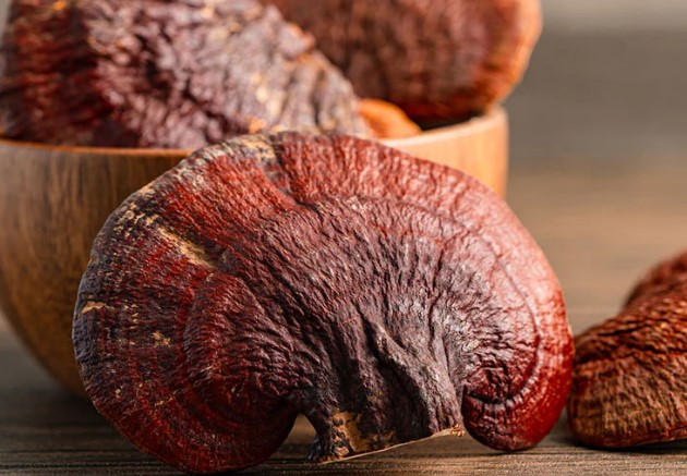 nấm vân chi và nấm linh chi