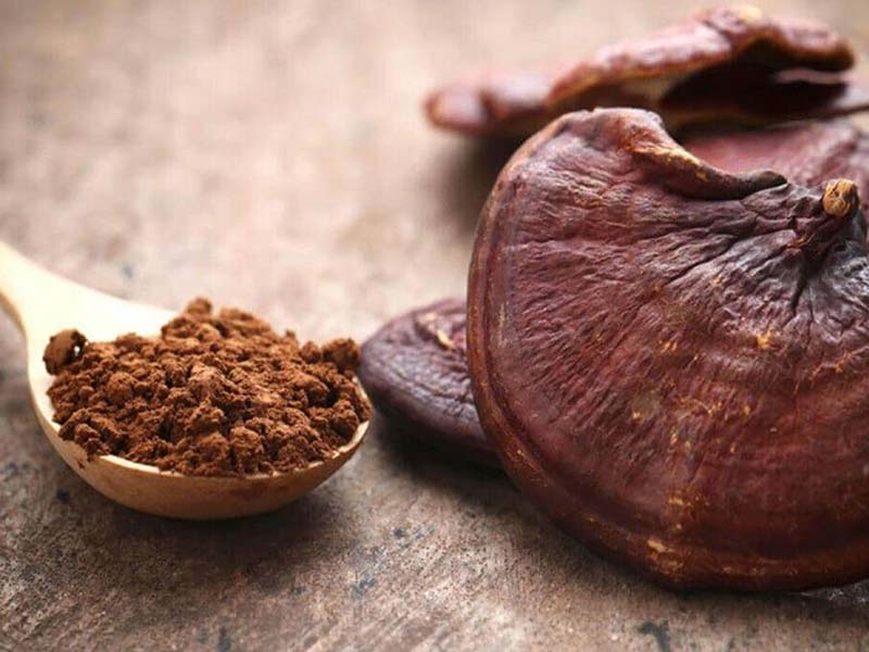 Cách làm nấm linh chi thành bột