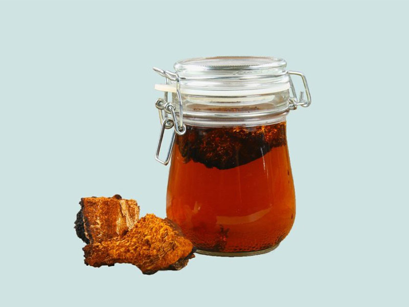 ai không nên uống nấm chaga