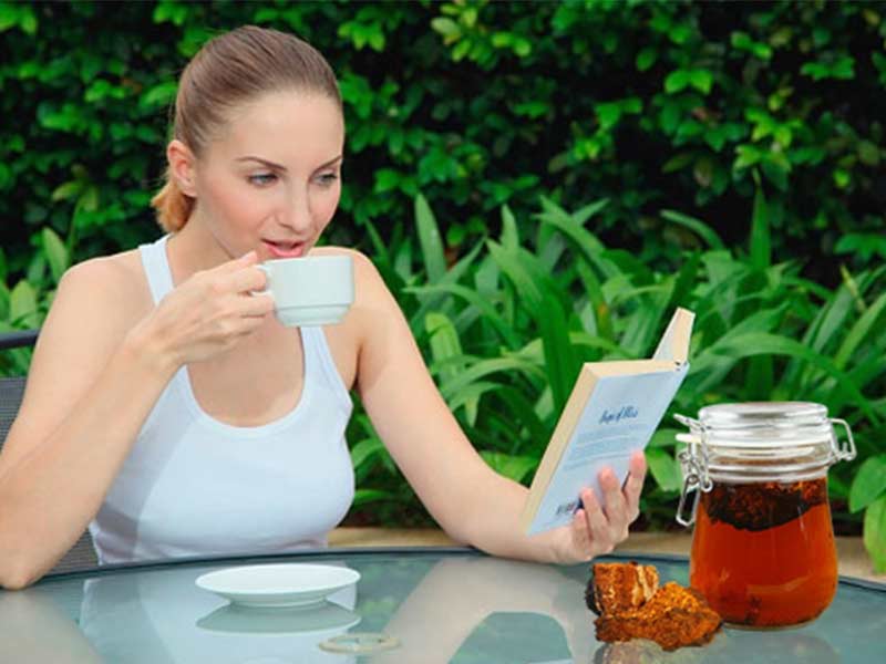 Hướng dẫn cách sử dụng nấm chaga