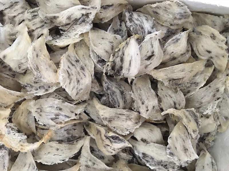 Tổ yến thô để được bao lâu? Bảo quản yến thô đúng cách