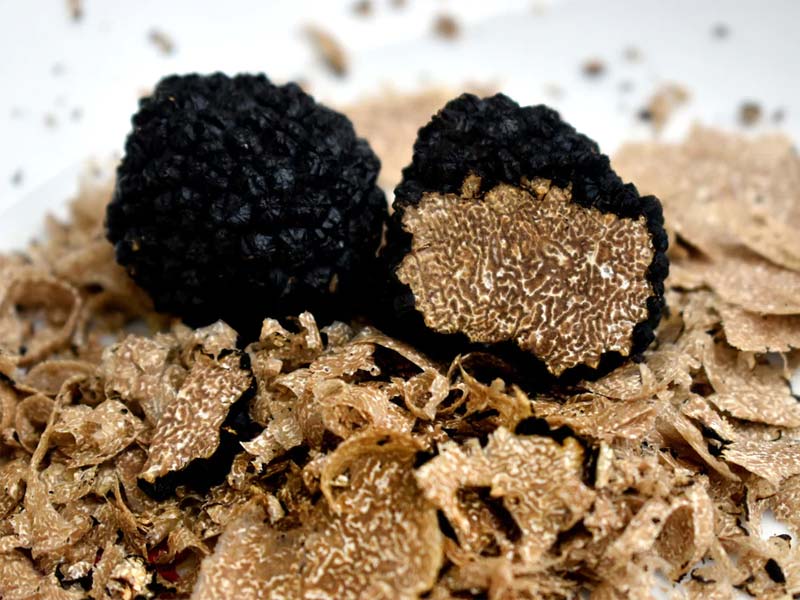 Nấm Truffle giá bao nhiêu? Nấm Truffle đen giá bao nhiêu?
