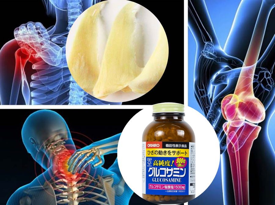 nên uống sụn vi cá mập hay glucosamine