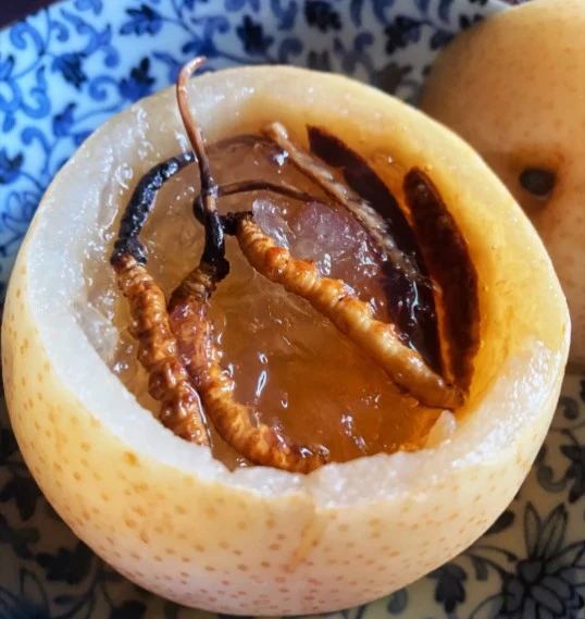 chưng yến đông trùng hạ thảo với quả lê tuyết