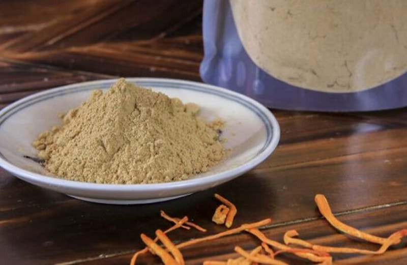 đông trùng hạ thảo dạng bột