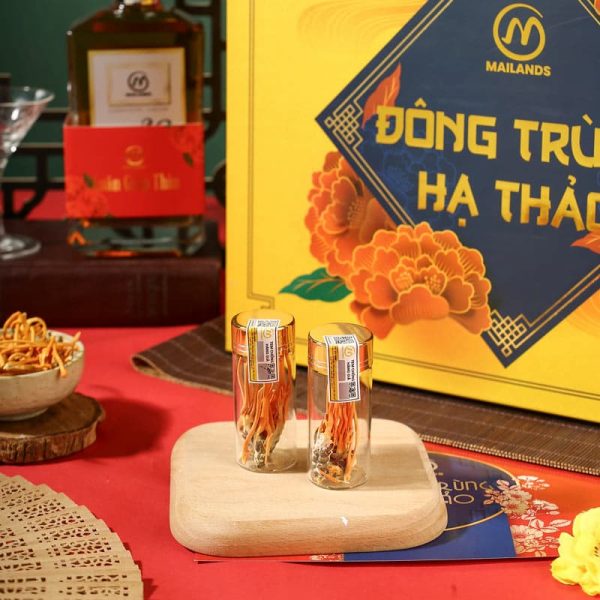 Đông trùng hạ thảo Nhộng tằm trong set quà tết đông trùng hạ thảo Thịnh Vượng