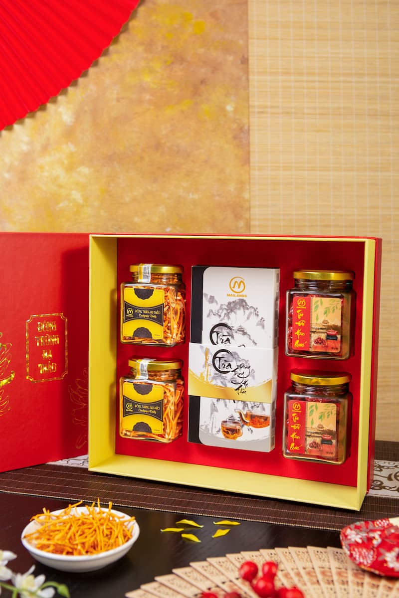 Set quà tết đông trùng hạ thảo An Lành