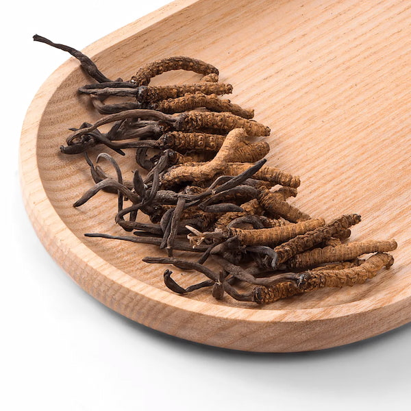 Con Đông Trùng Hạ Thảo Bhutan