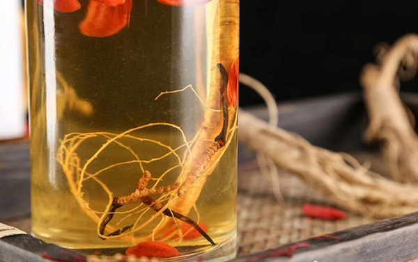 Đông Trùng Hạ Thảo Bhutan ngâm rượu