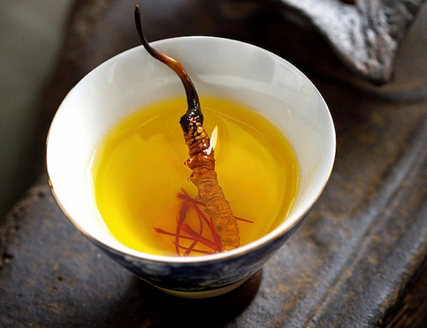 Đông Trùng Hạ Thảo Bhutan pha trà