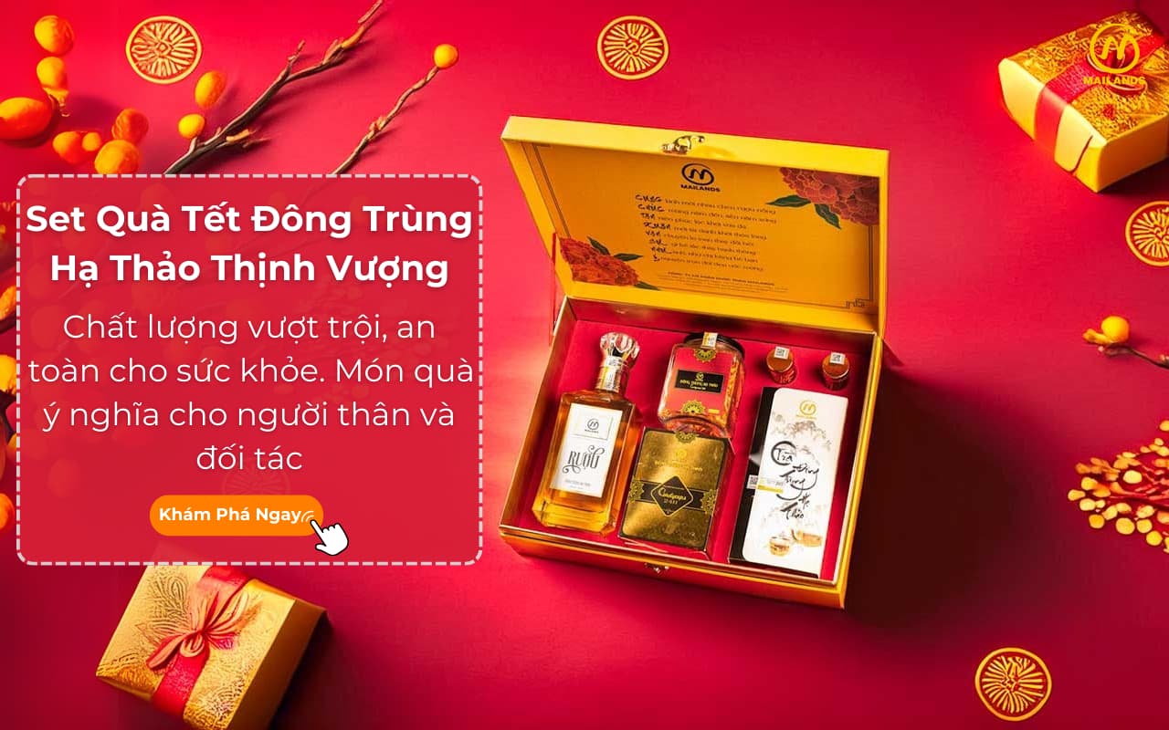 Set Thịnh Vượng