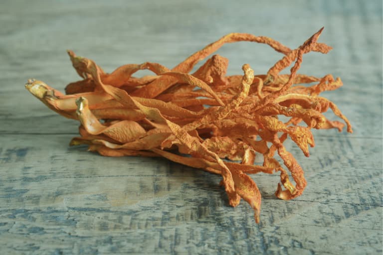 Đông trùng hạ thảo giá rẻ