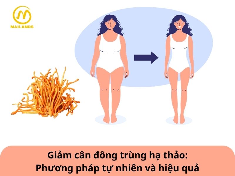 giảm cân đông trùng hạ thảo,
