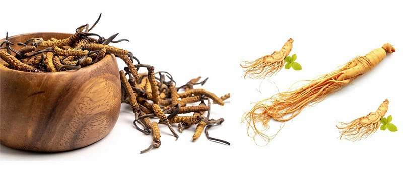 Đông trùng hạ thảo ngâm sâm