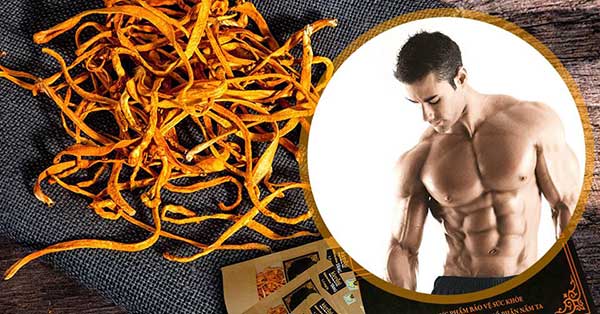 đông trùng hạ thảo hỗ trợ sức khỏe nam giới