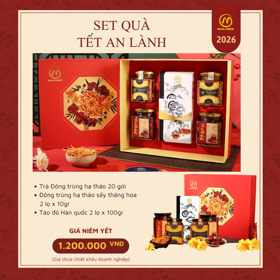 Set quà tết đông trùng hạ thảo an lành 2026 Mailands