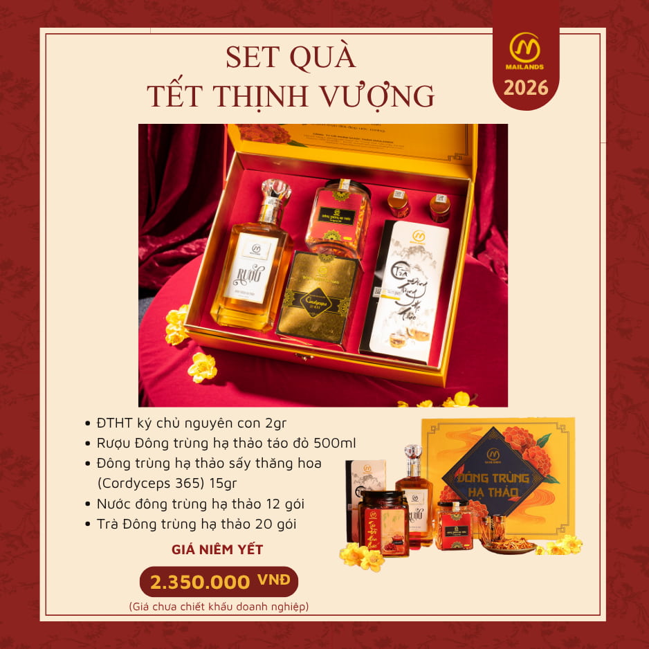 Set quà tết đông trùng hạ thảo 2026 - Dược Thảo Mailands